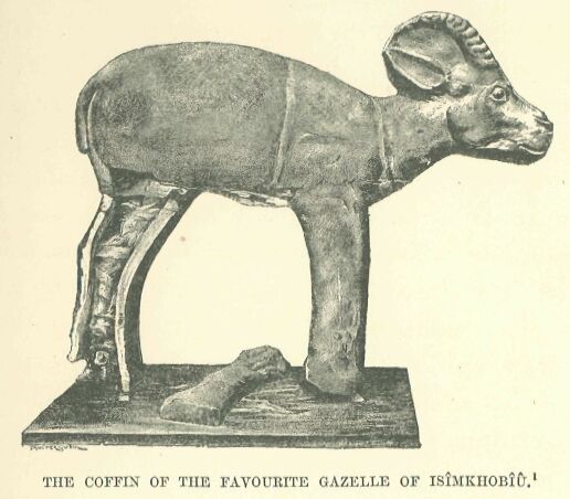 027.jpg the Coffin of The Favourite Gazelle Of
Ismkhobiu 
