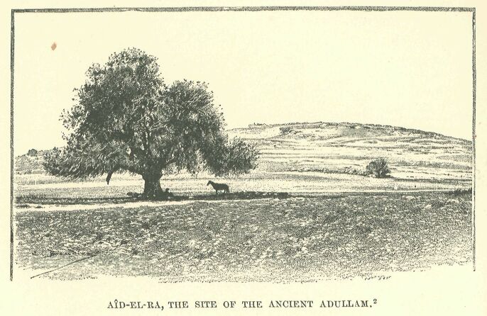 324.jpg Ad-el-ra, the Site of The Ancient Adullam 
